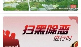 婚恋爆料新闻视频播放,视频播放背后的情感纠葛与真相揭晓